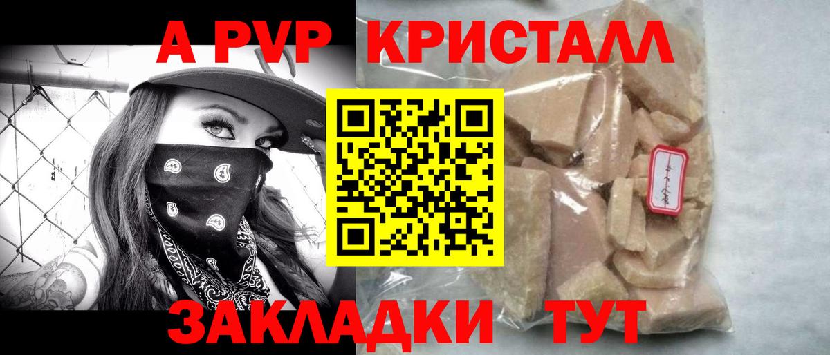 Альфа ПВП СК Дагестанские Огни
