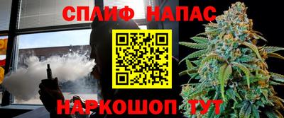 сатива Моздок