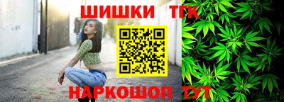 гашик Можайск
