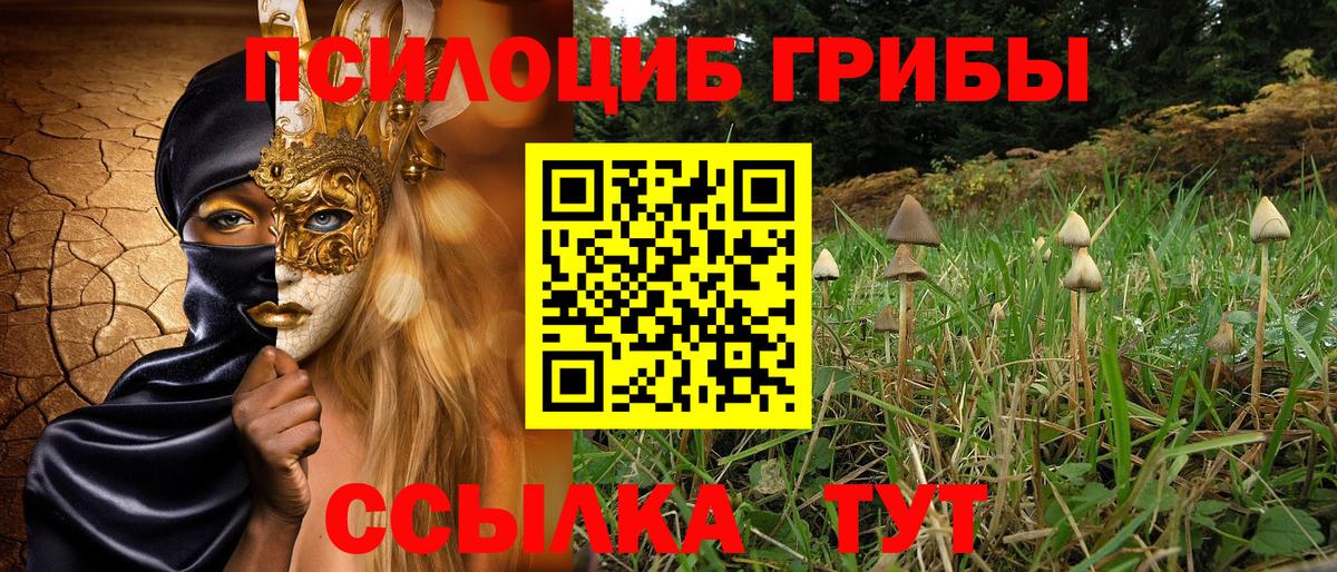 Дагестанские Огни  Псилоцибиновые грибы MAGIC MUSHROOMS  Псилоцибиновые грибы мицелий  как найти   Вход с VPN 